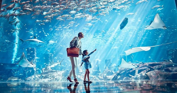 Explore Dubai Parks & Resort + Exciting Attractions Dubai - Image 2