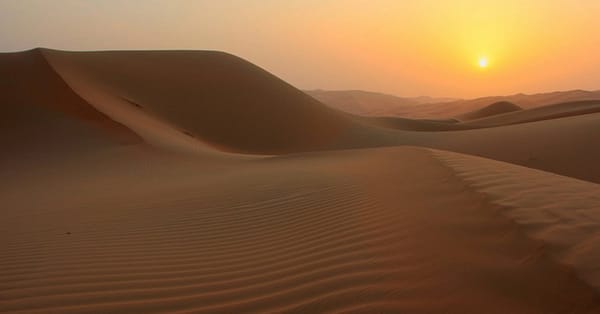 Explore The Dubai Desert Safari Adventure For Upto Four People Dubai - Image 7