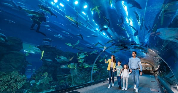 Fascinating Aquaventure Waterpark With Lost Chambers Aquarium National Deal - Image 6
