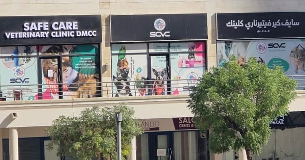 Full Cat And Dog Grooming In Jlt Dubai - Image 5