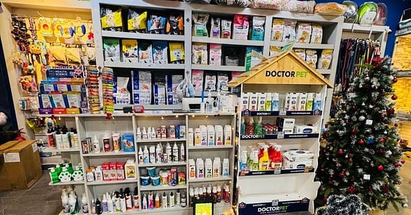 Full Grooming For Cats And Dogs To Keep Them Pampered! Dubai - Image 7