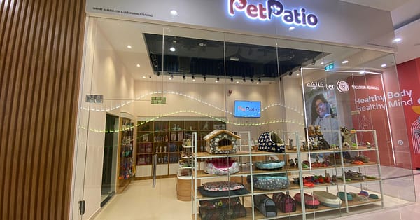 Groom, Grin, And Wag: Unleash Pet Paradise Dubai - Image 8
