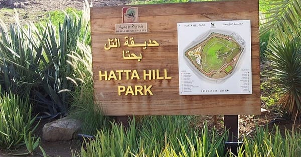 Hatta Mountain Safari Dubai - Image 2