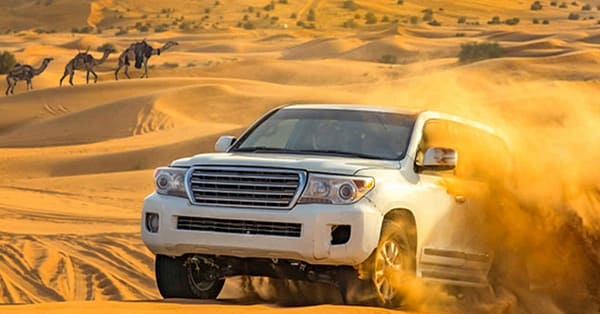 Img Tickets, Vip Desert Safari With Transport Options At Rs Tourism Dubai - Image 15