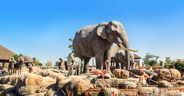 Img Tickets, Vip Desert Safari With Transport Options At Rs Tourism Dubai - Image 3