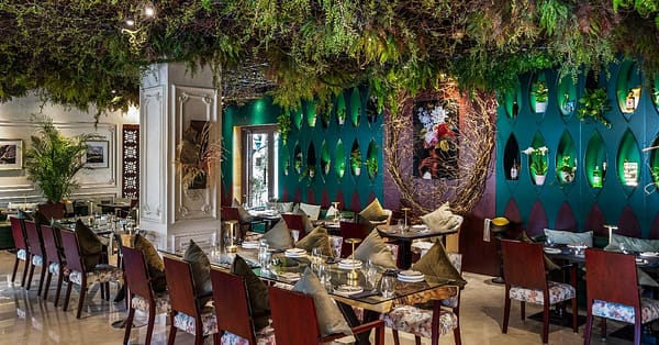 Lunch Menu For One, Two, Or Four With Authentic Middle Eastern Dishes Dubai - Image 10