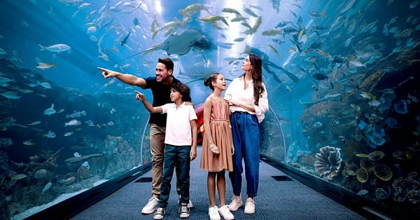 Marine Magic Awaits: Dubai Aquarium & Penguin Cove For 1, 2, Or 4! Dubai - Image 10