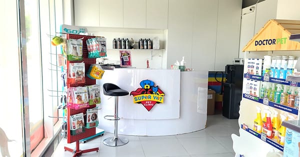 Medical Checkup And Anti-Flea Medication Or Deworming For Pets Dubai - Image 2