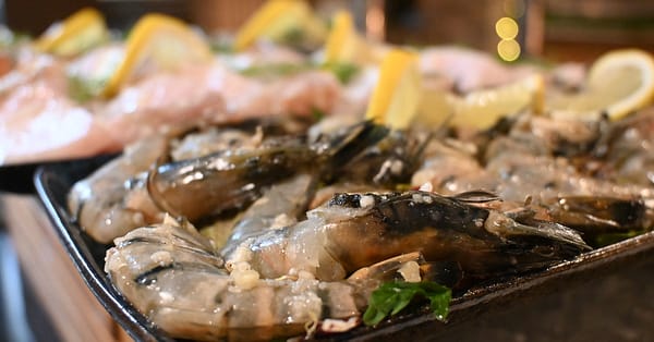 Night Dinner, Spicery @ 4* Novotel Gold District: Child Aed 45 & More Dubai - Image 2