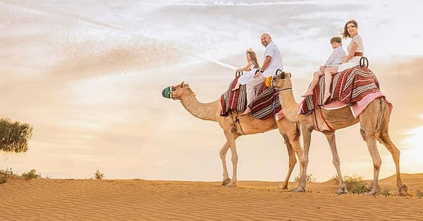 Overnight Central/Home Or Hotel Pick Up Desert Safari Dinner And More Abu Dhabi - Image 3