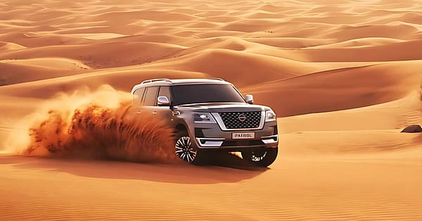 Overnight Central/Home Or Hotel Pick Up Desert Safari Dinner And More Abu Dhabi - Image 4