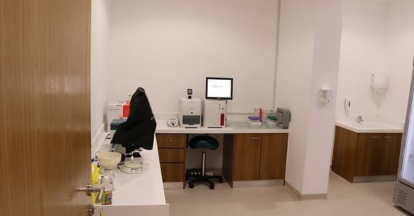 Pamper Your Furry Friends With Top-Notch Grooming For Dogs And Cats! Dubai - Image 13