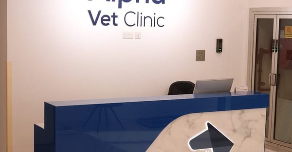 Pamper Your Furry Friends With Top-Notch Grooming For Dogs And Cats! Dubai - Image 19