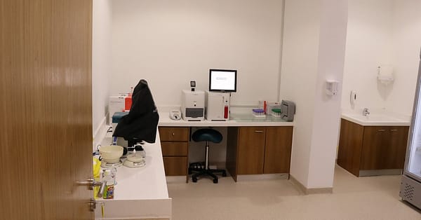 Pamper Your Furry Friends With Top-Notch Grooming For Dogs And Cats! Dubai - Image 3