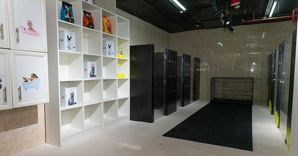 Pet Day Care At Six Pawz Pet Grooming Dubai - Image 5