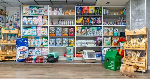Pet Day Care At Six Pawz Pet Grooming Dubai - Image 8