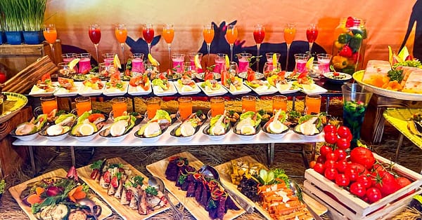 Safari Brunch With Soft Beverages - Child (Aed75), Adult (Aed 169) Abu Dhabi - Image 4