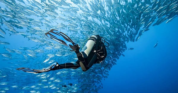Scuba Diving Courses At Divecampus Dubai - Image 2