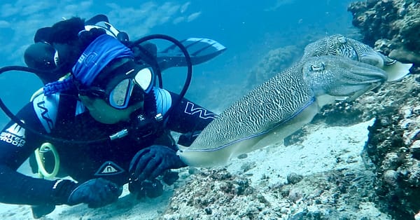 Scuba Diving Courses At Divecampus Dubai - Image 6