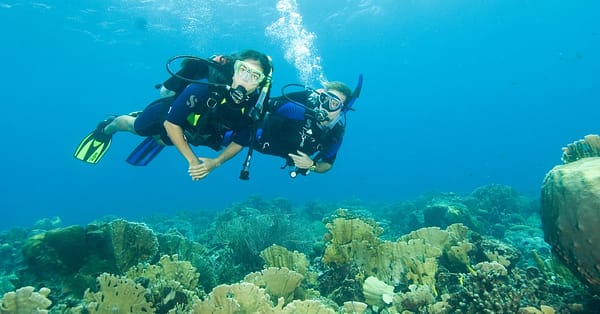 Scuba Diving Experience Dubai - Image 2