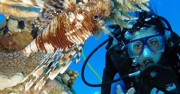 Scuba Diving Experience Dubai - Image 8