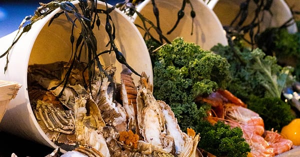 Seafood Night With Choice Of Beverages At 5* Sofitel Jbr Dubai - Image 8