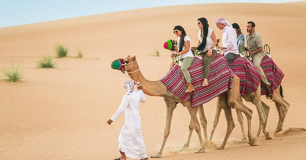 Self-Drive Desert Safari Dubai Package Dubai - Image 4