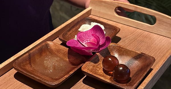 Spa Services At Soul Senses Delta Hotels By Marriott National Deal - Image 7