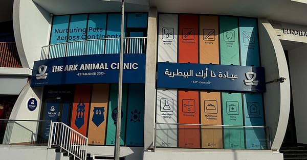 Treat Your Cats/Dogs With Basic/Full Grooming From 10 To Above 30 Kg Dubai - Image 11