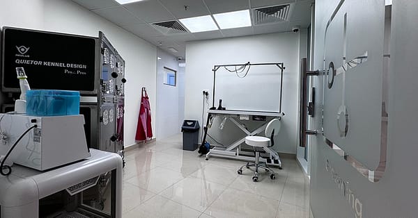 Treat Your Cats/Dogs With Basic/Full Grooming From 10 To Above 30 Kg Dubai - Image 5