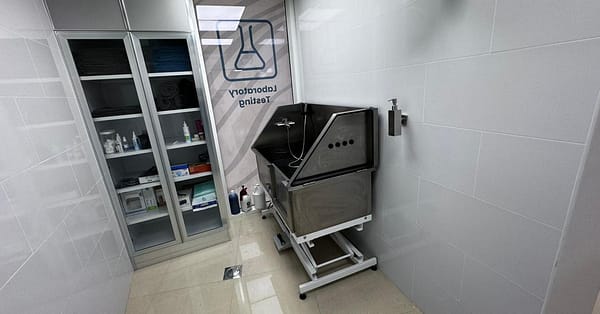 Treat Your Cats/Dogs With Basic/Full Grooming From 10 To Above 30 Kg Dubai - Image 7