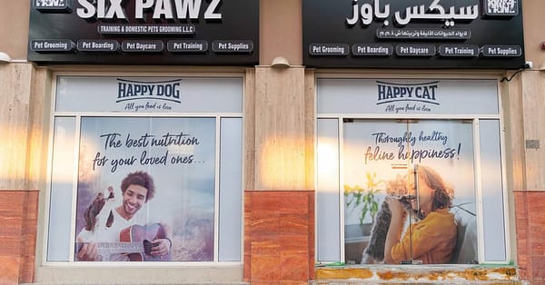 Treat Your Pet To The Ultimate Vip Experience Dubai - Image 12