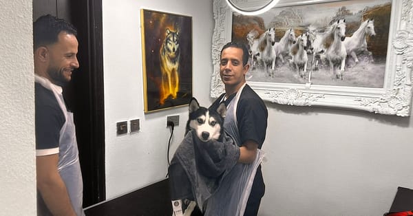 Up To 0% Off On At Al Raha Veterinary Clinic Abu Dhabi - Image 4