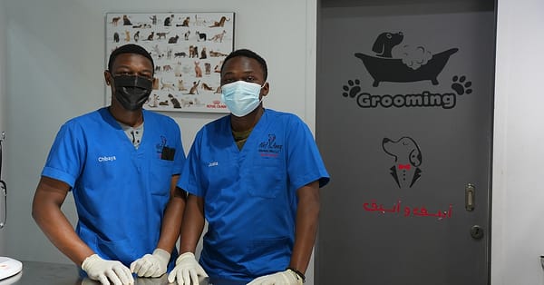 Up To 42% Off On At Cloud Pet Salon And Boarding Sharjah & N. Emirates - Image 3