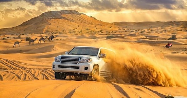 Up To 61% Off On Atv / Quad (Drive / Experience) At Desert Lion Tourism Dubai - Image 2