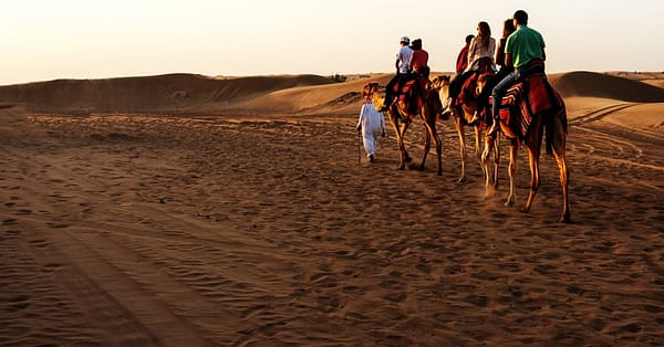 Up To 73% Off On At Antalya Tourism Sharjah & N. Emirates - Image 4