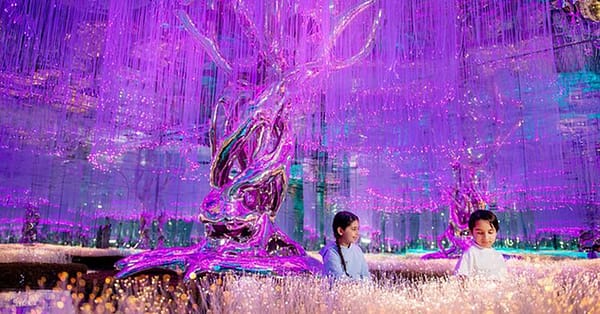 Up To 8% Off On At Peace Land Travel And Tourism Dubai - Image 10
