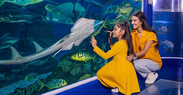 Up To 8% Off On At Peace Land Travel And Tourism Dubai - Image 15