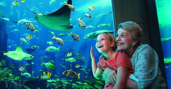 Up To 8% Off On At Peace Land Travel And Tourism Dubai - Image 6