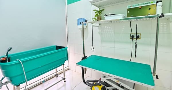 Veterinary Examination At Pet Connection Veterinary Clinic Dubai - Image 12