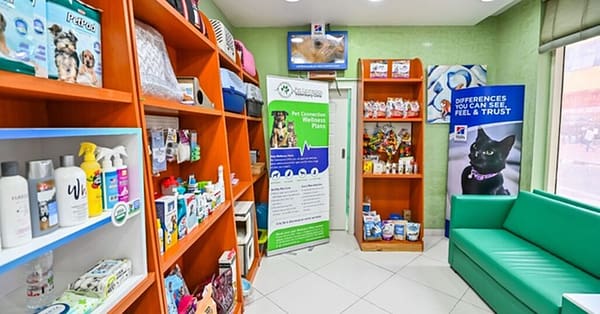 Veterinary Examination At Pet Connection Veterinary Clinic Dubai - Image 15
