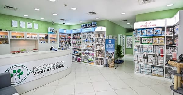 Veterinary Examination At Pet Connection Veterinary Clinic Dubai - Image 2