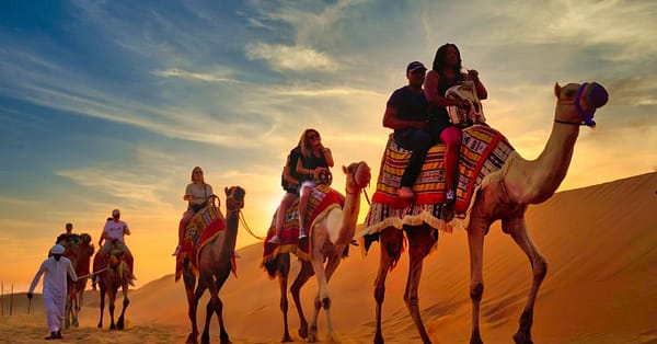 Vip Desert Safari For One, Two Or Four Person With Live Entertainment Sharjah & N. Emirates - Image 3