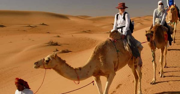 Vip Red Dune Desert Safari Or Premium Desert Safari For 1, 2, Or 4 Sharjah & N. Emirates - Image 10
