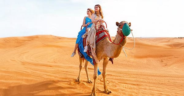 Vip Red Dune Desert Safari Or Premium Desert Safari For 1, 2, Or 4 Sharjah & N. Emirates - Image 12