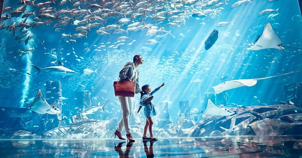 Visit Dubai Frame W/ Lost Chamber Aquarium, Dubai Aquarium & Img World Dubai - Image 2