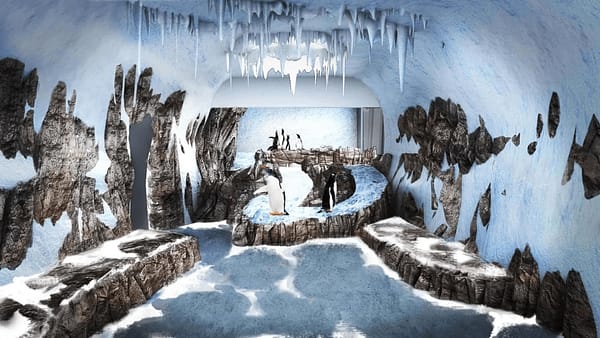 Dubai Aquarium & Underwater Zoo - Penguin Encounter - Experiences - Image 2