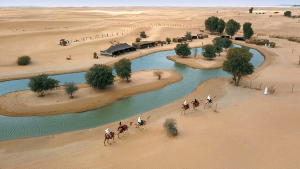 Evening Luxury Heritage Safari at Al Marmoom Bedouin Experience - Desert safaris - Image 2