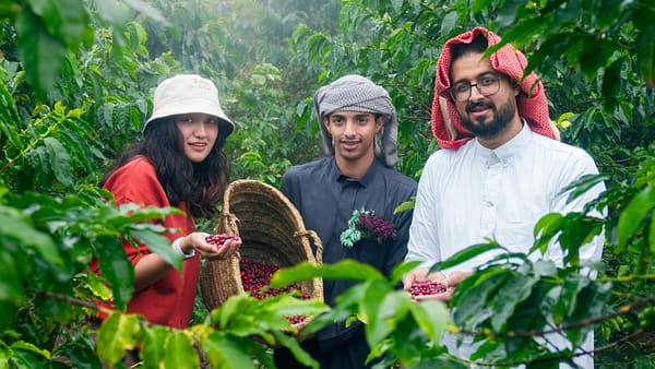 From Arabica to Arabian – Coffee Experience at a local farm - Recently Added Experiences - Image 2