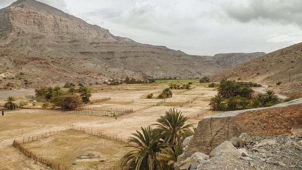 Half-Day Mountain Safari to Jabel Harim - Must-see attractions - Image 2